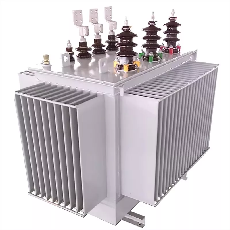 ຄວາມຖີ່ສູງສາມໄລຍະ 1000kVA TAIL LMMERSED TransFormer